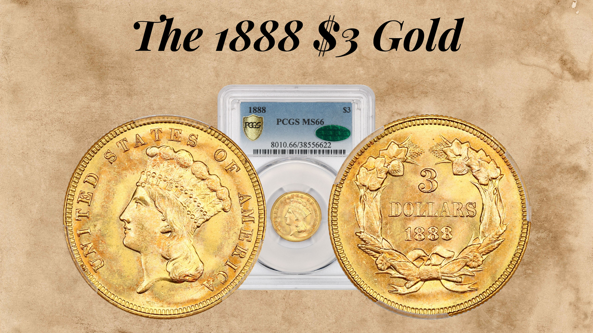 The 1888 $3 Gold