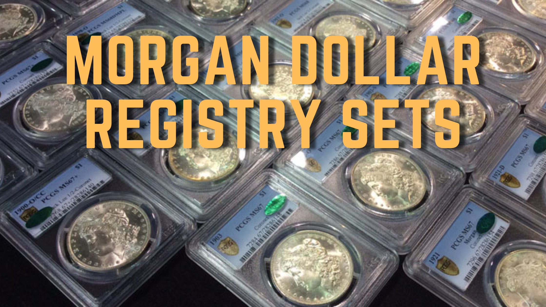 Morgan Dollar Registry Sets