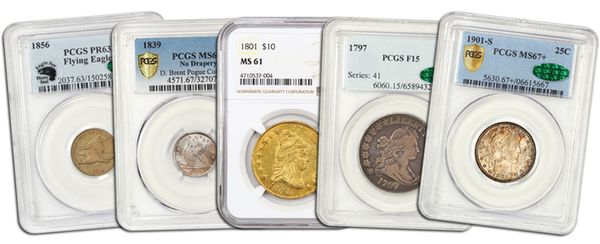 Where Does DLRC Get Such a Great Selection of Coins?